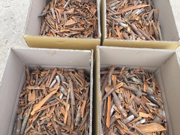 Broker Cassia Cinnamon From Vietnam