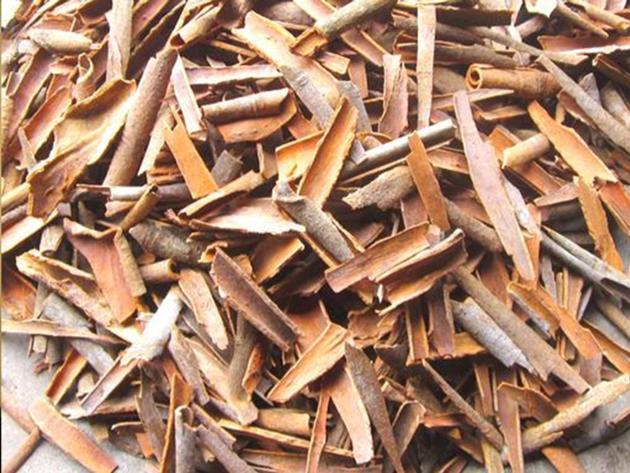  Broker Cassia/Cinnamon From Vietnam
