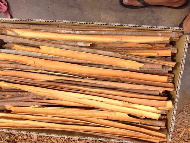 Split Cassia Cinnamon