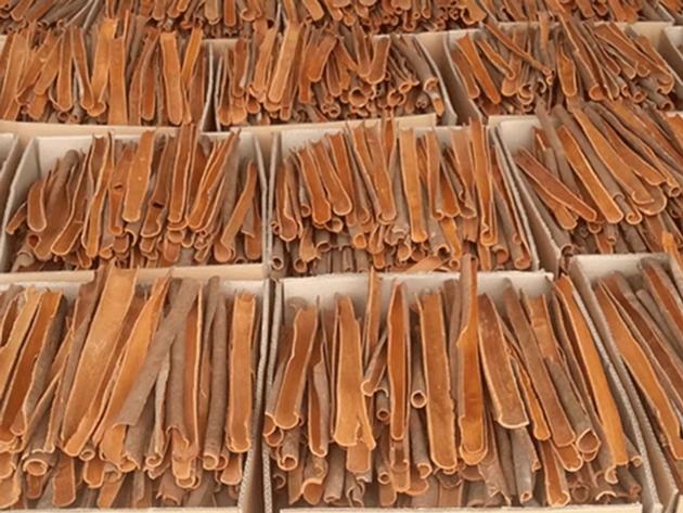 Split Cassia Cinnamon