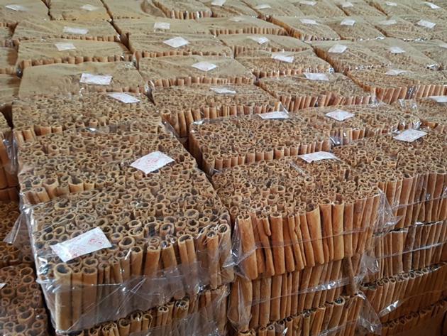 Stick Cassia Cinnamon