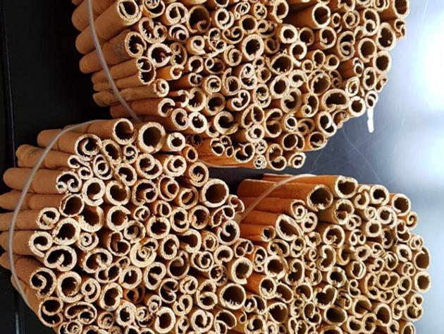 Stick Cassia Cinnamon
