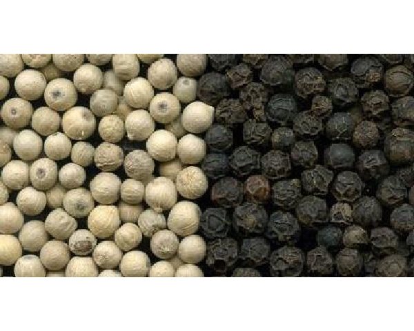 Vietnam Black Pepper & White Pepper