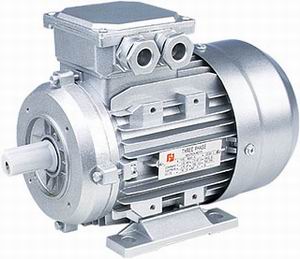MS Series Three-Phase Aluminum Housing Motors