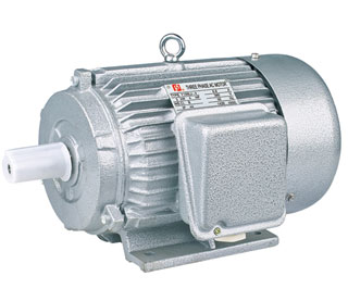 Electric motor