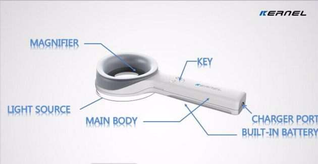 Skin Examination Test Medical Wood S