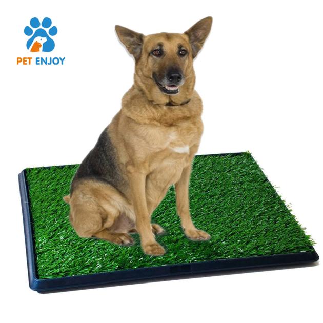 Indoor Pet Potty Tray Dog Training
