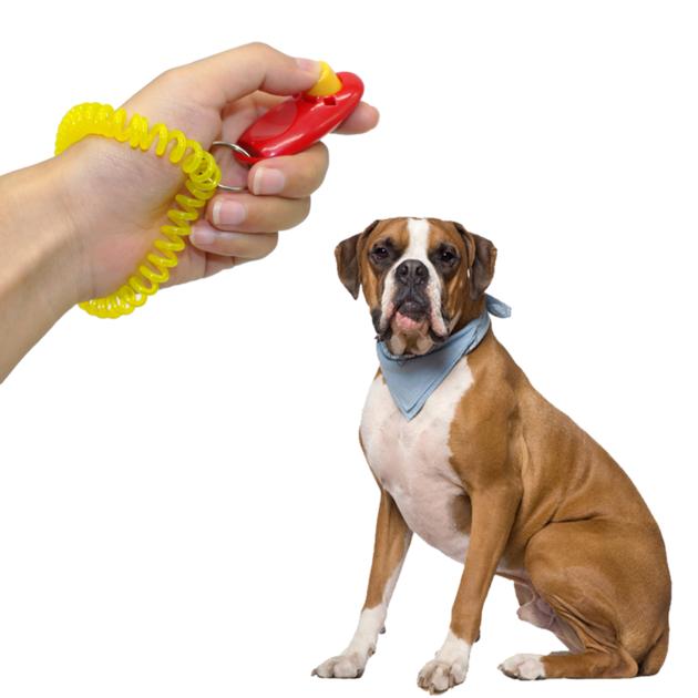 Good Behavior Training Dog Clicker
