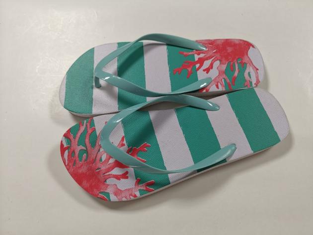 Flip Flops