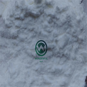 2 Methyl 3 Phenyl Oxirane 2
