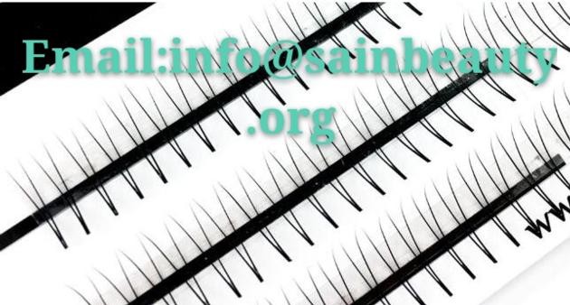 Blooming Eyelash Extension Lashes 2D 3D 4D 5D 6D Lashes Premade Fan Volume