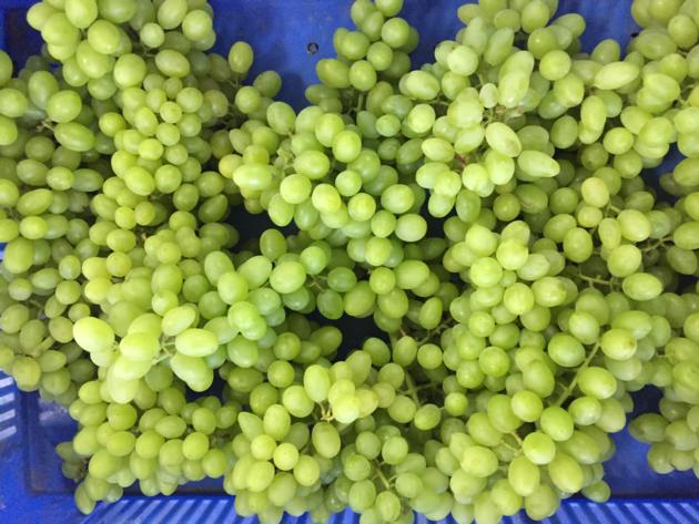 Grapes