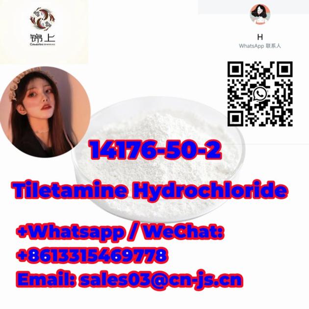 high purity  Discount  Tiletamine Hydrochloride 14176-50-2