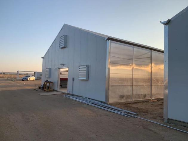 Sunshine panel curtain greenhouse