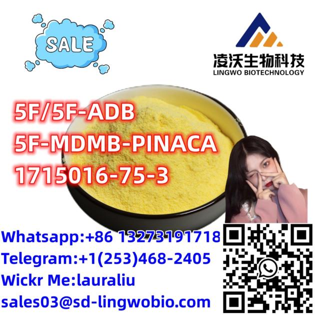 Lingwo Top 5F 5F ADB 5F