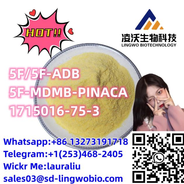 Lingwo Top 5F 5F ADB 5F