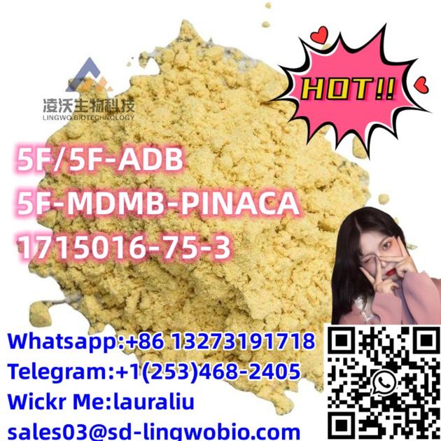 Lingwo Top 5F 5F ADB 5F