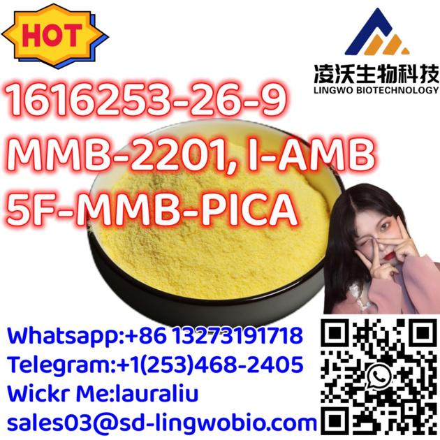 Lingwo Top Quality MMB 2201 5F