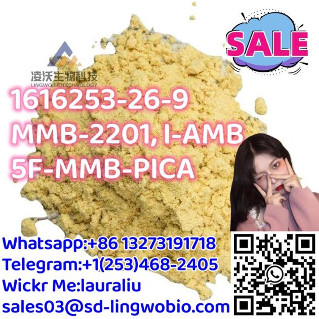 Lingwo Top Quality MMB 2201 5F