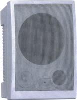 Public address speaker