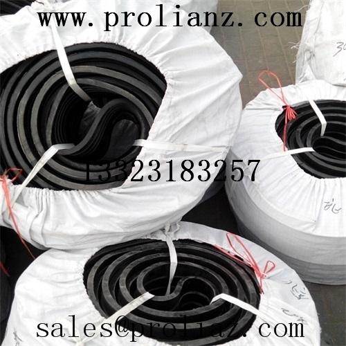 High Quality Rubber Water Stop (made in China)