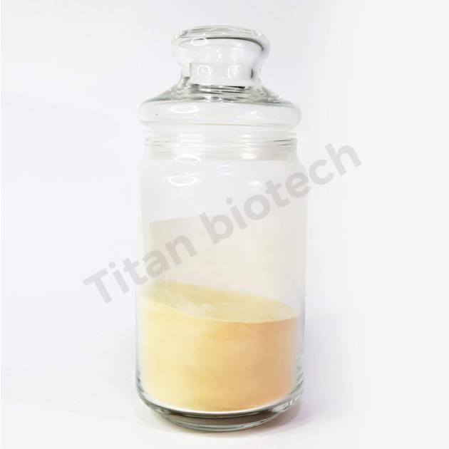 Yeast