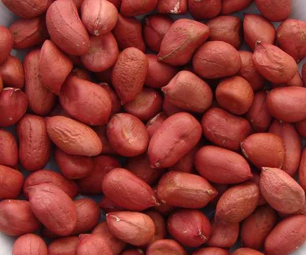 Peanuts for sale