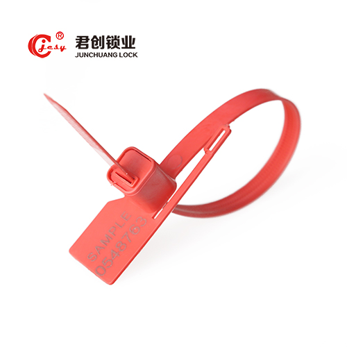 Anti-reverse Clear Plastic Meter Seal