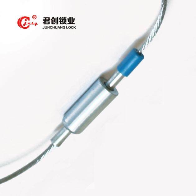 Disposable tamper-proof cable seals 1.0 for container