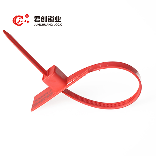 Anti Reverse Clear Plastic Meter Seal