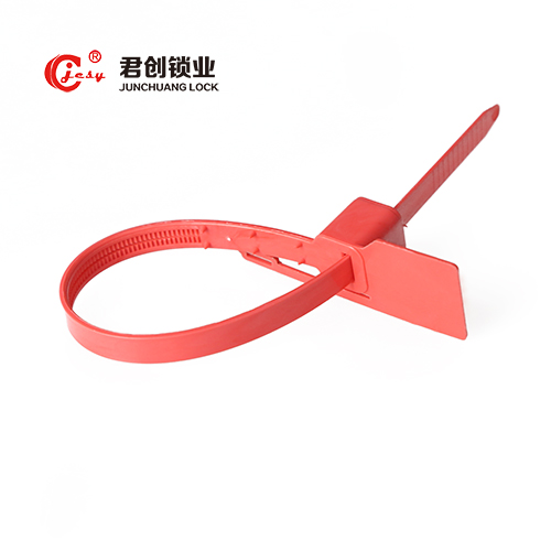 Anti Reverse Clear Plastic Meter Seal