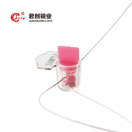 Anti-reverse Clockwise Locked Clear Plastic Meter Seal 