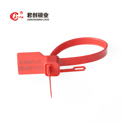 Anti Reverse Clear Plastic Meter Seal