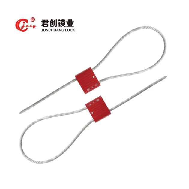 Disposable tamper-proof cable seals for container