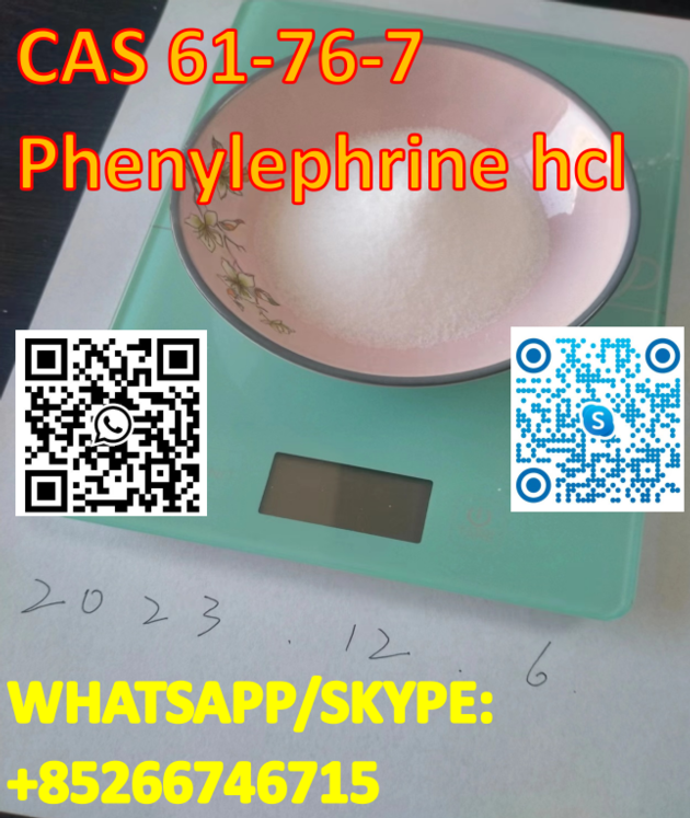 Phenylephrine Hcl CAS 61-76-7 
