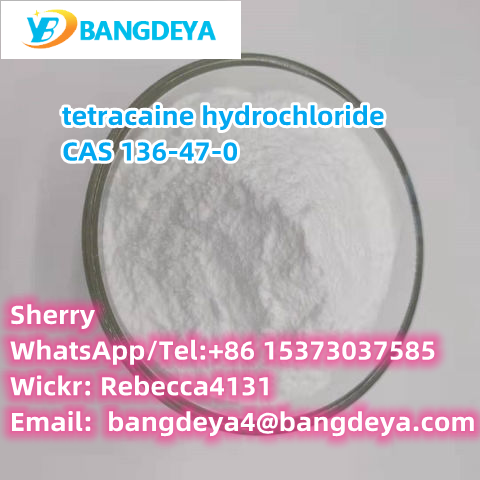 tetracaine hydrochloride 136-47-0