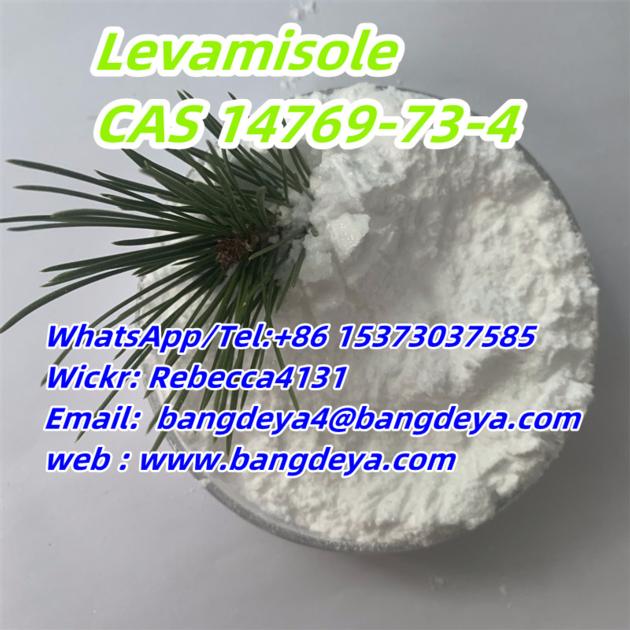 Levamisole CAS 14769-73-4 with best quality 