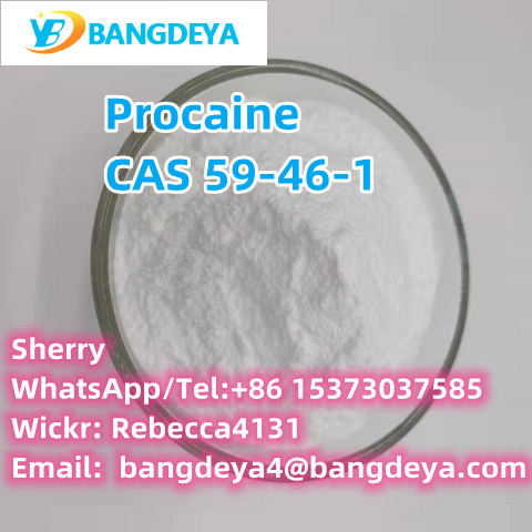 Good quality Procaine 59-46-1