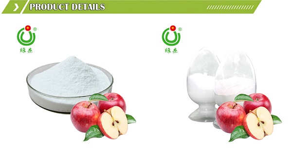 Apple Cider Vinegar Powder Manufacturer