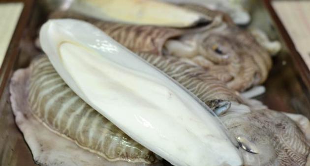 CUTTLEFISH BONE FOR CATTLE FEED