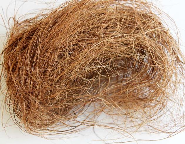 COCONUT FIBER