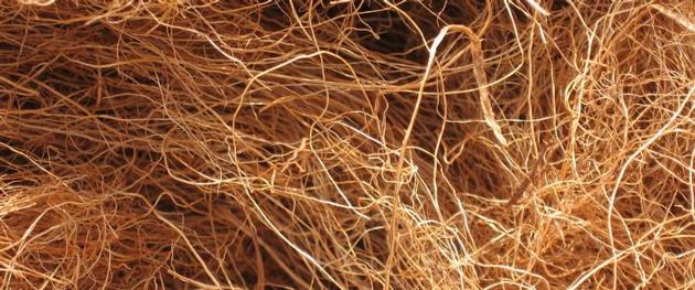 COCONUT FIBER