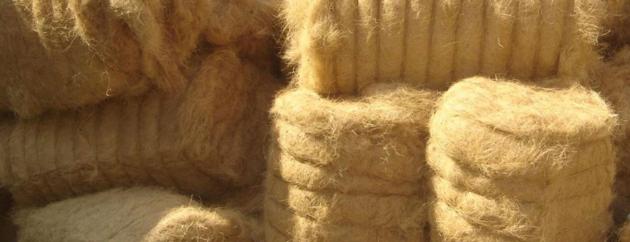 COCONUT FIBER