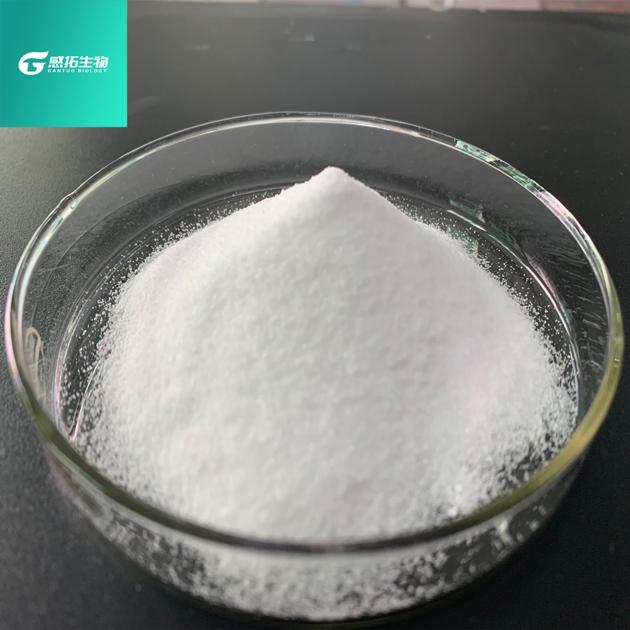 Dimethocaine CAS 94 15 5 Top