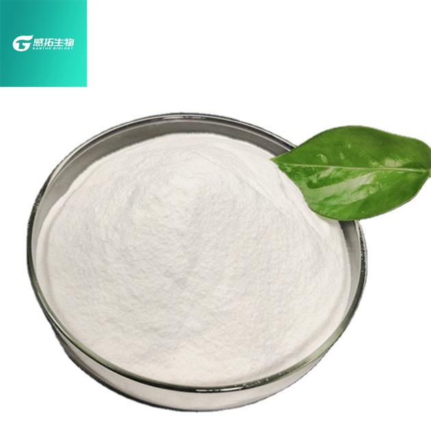 Dimethocaine CAS 94 15 5 Top