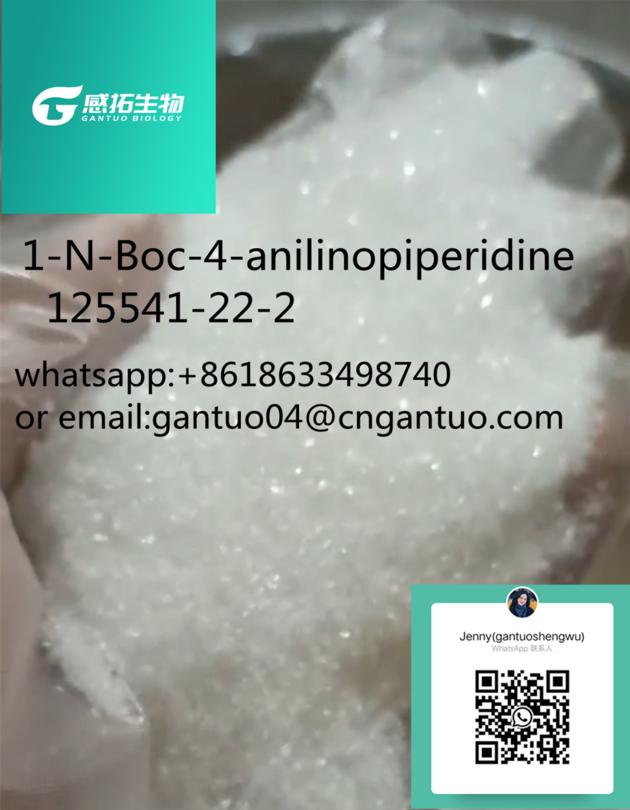 1-N-Boc-4-anilinopiperidine  125541-22-2