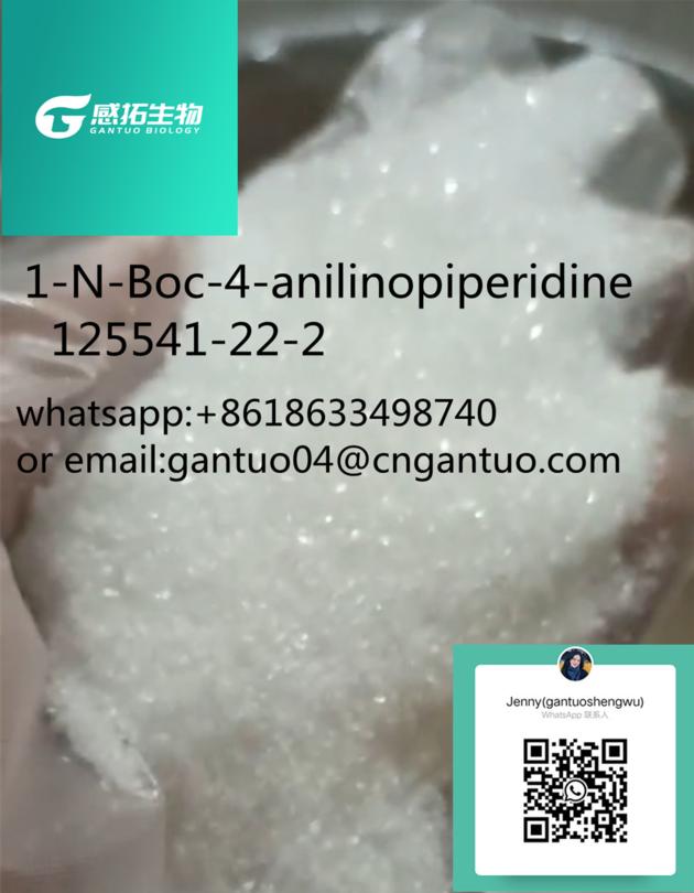high quality99%1-N-Boc-4-anilinopiperidine  125541-22-2
