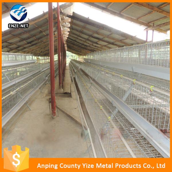 Type h commercial poultry layer cages