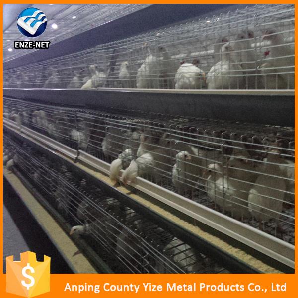 Layer Poultry Battery Cage For Nigerian