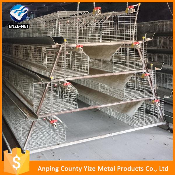 Automatic Chicken Cage Poultry Equipment With